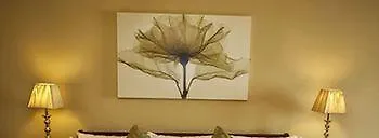 מלון Minotel Darby O'gills
