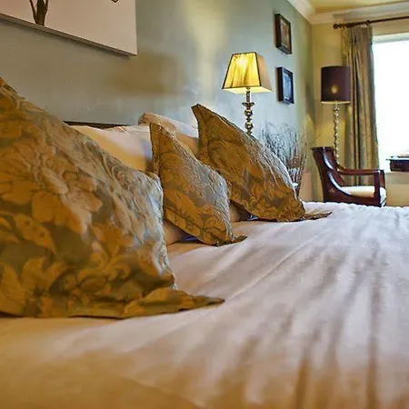 Minotel Darby O'gills
